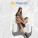 All Women Clothes