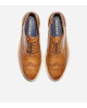 COLE HAAN Shoes, Morris Wing Oxford Shoes with Broguing Shoes For Men's COLE HAAN Shoes, Morris Wing Oxford Shoes with Broguing Shoes For Men's