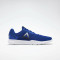 Reebok Shoes, Running Blue Shoes